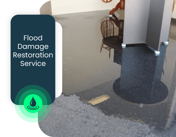 Expert Flood Damage Restoration Point Cook