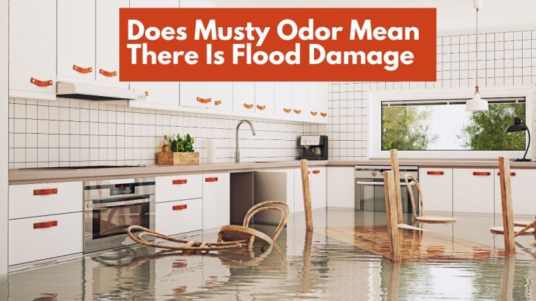 Does Musty Odor Mean There Is Flood Damage