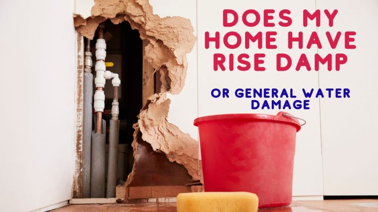 Does My Home Have Rise Damp Or General Water Damage