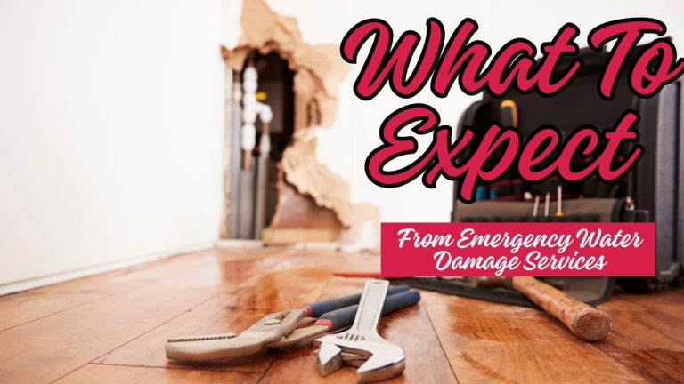 What To Expect From Emergency Water Damage Services